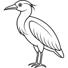  Bird vector illustration.

