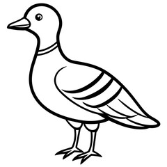  Bird vector illustration.

