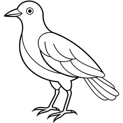  Bird vector illustration.

