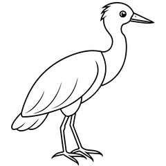  Bird vector illustration.

