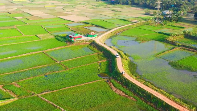 From an aerial view,  dirt road that cuts through the picturesque countryside of the village. The road is lined with lush green trees and vibrant wildflowers, while cars fill the road, 