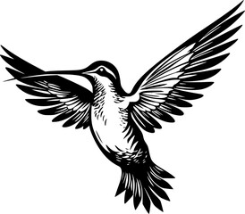 Hummingbird - High Quality Vector Logo - Vector illustration ideal for T-shirt graphic