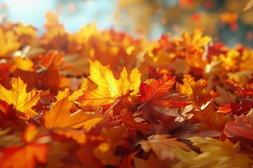 Naklejka na ściany i meble Random scatter of autumn foliage, photorealistic image capturing the essence of fall ,ultra HD,clean sharp,high resulution