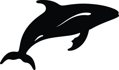 Fototapeta premium right whale silhouette