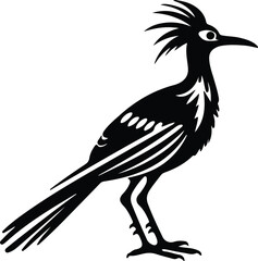 Fototapeta premium roadrunner silhouette