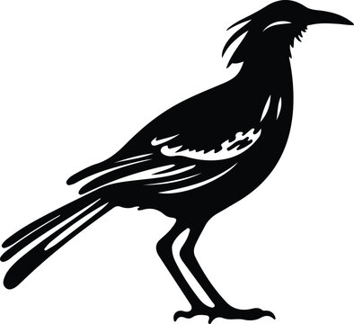 recommend clip art: roadrunner silhouette
