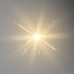 The Sunlight Vector Illustration is a beautiful sunburst lighting effect created using vibrant colors and dynamic lines to bring a sunny mood to the project.	
