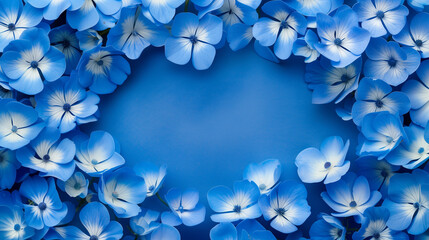 Fototapeta na wymiar Blue nemophila Flower Frame