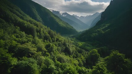 "Amidst the Majestic Alps: A Breathtaking Landscape Where Towering Mountains Kiss the Sky, Covered in a Blanket of Snow. As Summer Blooms, Lush Green Forests Contrast Against the Rocky Terrain, Creati