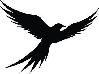 Obraz premium tern silhouette