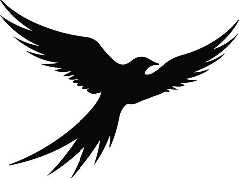 recommend clip art: tern silhouette