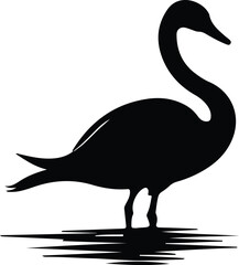 trumpeter swan silhouette