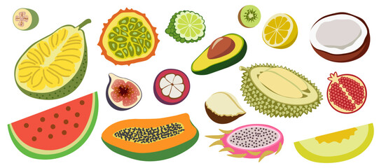 color isolated fruits collection in flat style in vector. image of natural healthy eco raw food.template for logo sticker poster print decor design