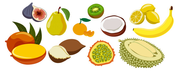 color isolated fruits collection in flat style in vector. image of natural healthy eco raw food.template for logo sticker poster print decor design