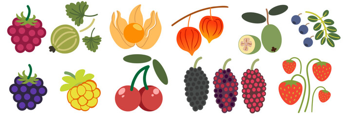 color isolated berries collection in flat style in vector. image of natural healthy eco raw food.template for logo sticker poster print decor design
