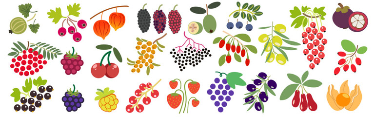 color isolated berries collection in flat style in vector. image of natural healthy eco raw food.template for logo sticker poster print decor design © Anna