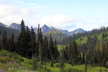 Mountain scenery near Mount Rainier, Washington State, USA
