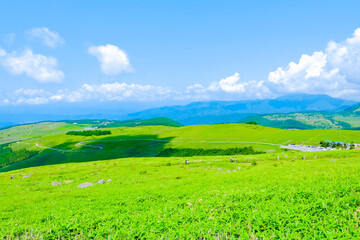 夏の車山高原