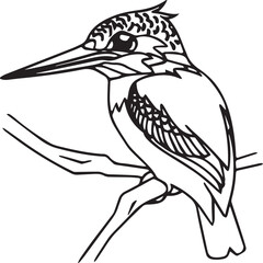 Kingfisher coloring page. A black and white drawing of kingfisher.
