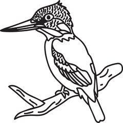 Kingfisher coloring page. A black and white drawing of kingfisher.