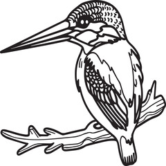 Obraz premium Kingfisher coloring page. A black and white drawing of kingfisher.