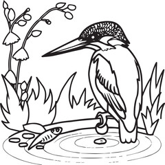Kingfisher coloring page. A black and white drawing of kingfisher.