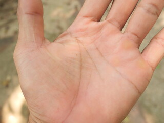 Close-up of a man's palm