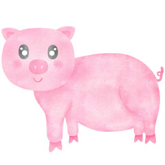 pig cartoon, drawing transparency illustration.