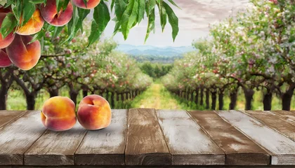 Foto op Plexiglas Rural Idyll: Wooden Board Table Overlooking a Peach Orchard with Copy Space © Rahain