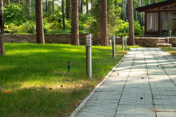 Illuminated stone garden path through the forest of trees to the house