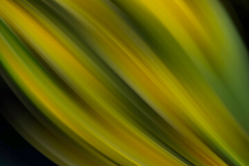 Abstract gradient Blurred colored background. Smooth transitions of iridescent green and yellow colors. Colorful Rainbow backdrop Smooth Texture Graphic wallpaper