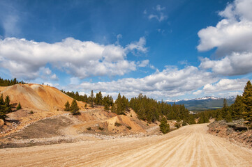 A journey through Colorado's heartland, this image combines the raw nature of mountains with an inviting dirt road winding through pines