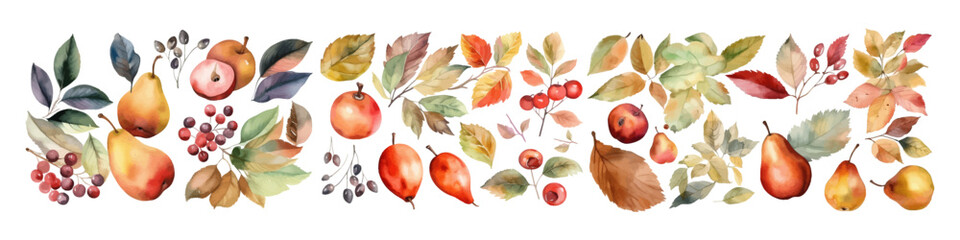 Watercolor set of fruit. Natural dessert illustration. Organic food.  - obrazy, fototapety, plakaty