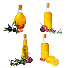 A set of bottles of flavored olive oil with spices, herbs, hot chili pepper, garlic, lemon, thyme and rosemary and olive branches on white background.