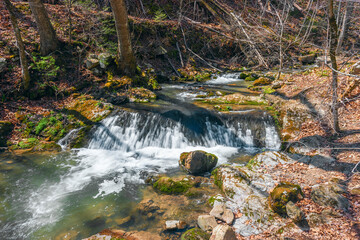 Naklejka na ściany i meble Roaring Run Creek on a early spring day.Roaring Run Recreation Area.Alleghany County.Virginia