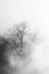 A tree is silhouetted against a foggy sky