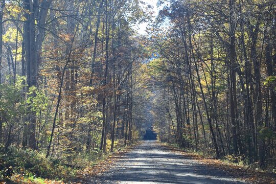 Autumn colors on the rural raos