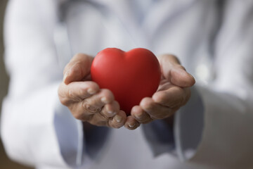 Close up unknown woman cardiologist in white coat hold red heart as symbol of cardiology branch, to treat cardiovascular disease, prevent heart attacks, professional medical services, regular check-up