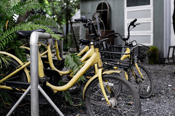 Fototapeta na wymiar A row of yellow bikes are parked next to a metal fence. The bikes are chained to the fence, and there is a basket on one of them. The scene gives off a sense of organization and order