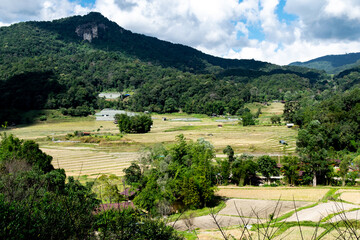 Landscape country rice field for the holiday of tourists, Thailand.