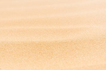 Fototapeta na wymiar Light yellow sand grain texture. Macro closeup sandy waves. Abstract nature backgrounds and patterns