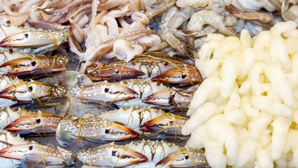 Healthy, fresh seafood display with variety of fish, squid, and cuttlefish, laid out on ice, showcasing ocean's bounty for culinary enthusiasts and everyday cooks seeking quality ingredients for meal