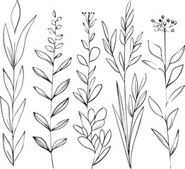 Set of Leaves thin line icons black on white background