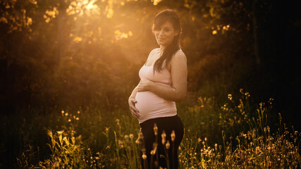 portrait Pregnant woman surrounded by flowers with the evening sun entering between the illuminated...