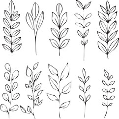 Set of Leaves thin line icons black on white background