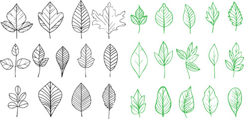 Set of Leaves thin line icons black and green on white background