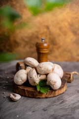 Raw white mushrooms champignons and pepper on grey background for cooking fresh ingredients. free copy space