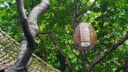 Lampion lamp from woven bamboo hanging in the tree at public park