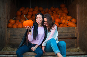 Fashionable beautiful young girlfriends together at the autumn pumpkin patch background. Having fun...
