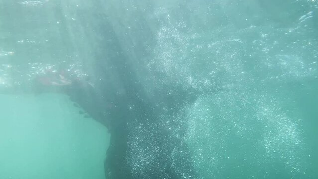 a woman fell into the water. woman drowning in water 